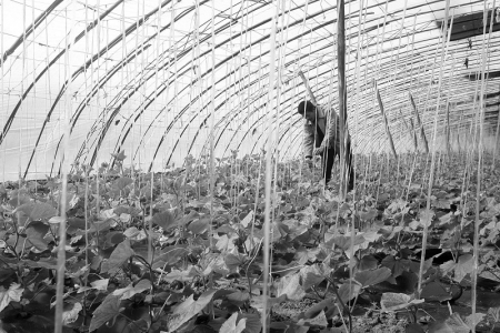 <br>          近年来，我省农民收入保持较快增长。 本报记者 胡远嘉 摄<br><br>        