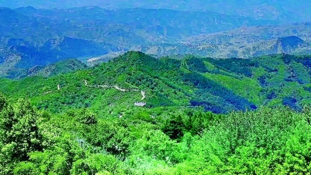 <br>          渠家大院<br><br>        