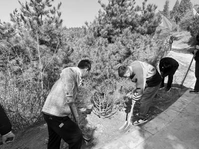 <br>          在纪念林里义务植树图片由中国移动晋城分公司团委提供<br><br>        