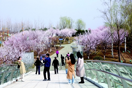 <br>          如诗如画的春景吸引游客踏春赏花 图片由晋源区融媒体中心提供<br><br>        