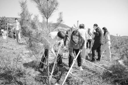 <br>          青年志愿者们两两成组、分工协作，植新绿。 图片由团太原市委提供<br><br>        