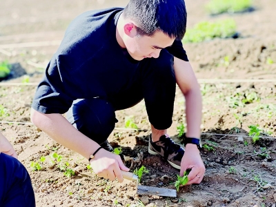 <br>          原凯杰工作细致，求真务实。 图片由受访者提供<br><br>        