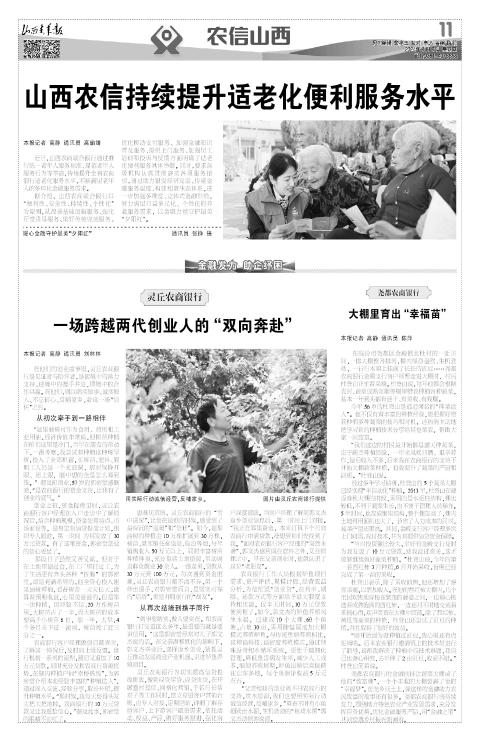 第11版