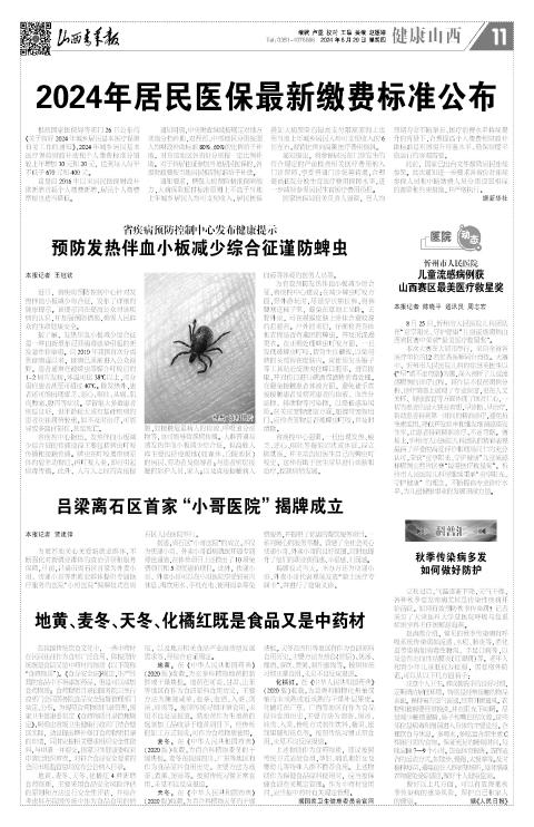第11版