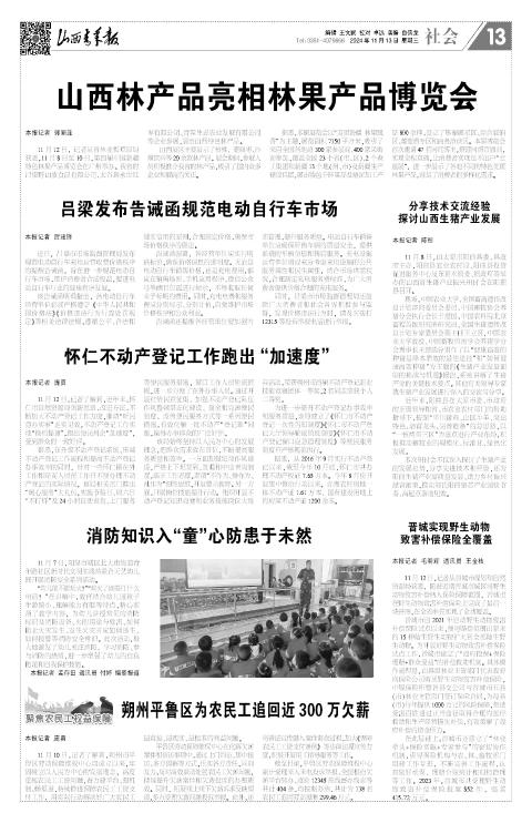 第13版