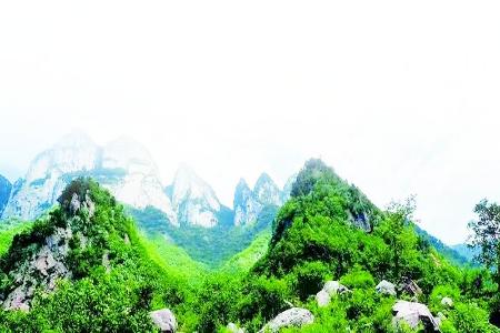           历山猕猴源 本版图片均为资料图片        