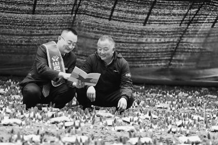           金融服务延伸到角落 通讯员 刘林林 摄        