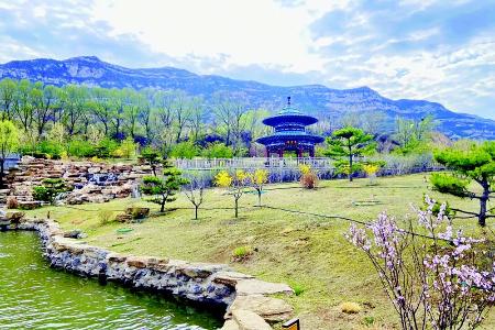           汾河景区        