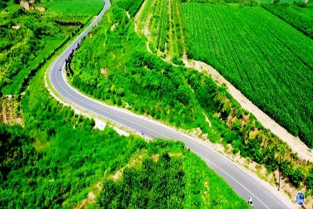           黄河一号旅游公路永济段 本版图片均为资料图片        