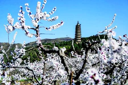          万固寺        