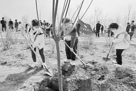           团沁水县委带领青年续写辉煌 图片由共青团沁水县委提供        