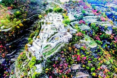           岳家寨村        