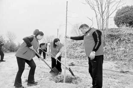           青年义务植树 图片由团闻喜县委提供        