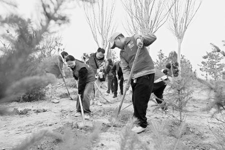           图片由国网山西送变电公司团委提供        