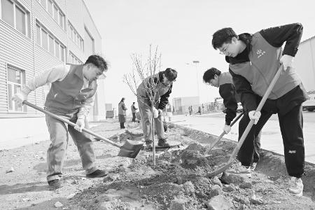           植树活动为大地增添新绿 见习记者 路诗洁 摄        