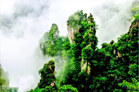           王莽岭        