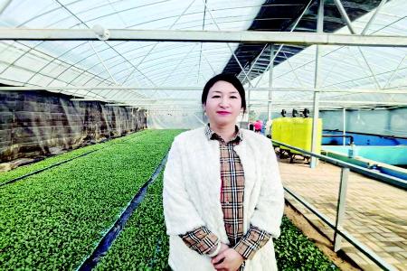           刘玲带领村民走上产业致富路        