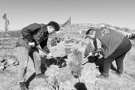           图片由团原平市委提供        