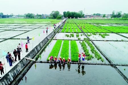           本组图片均由杨润德提供        