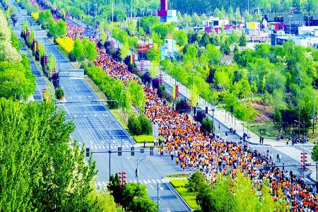           图片由主办方提供        