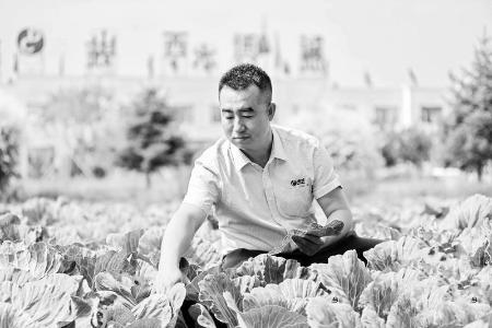           返乡创业，助力乡村振兴。 图片由受访者提供        