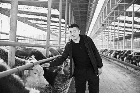           　 李诗宣引入精加工、深加工环节，也激发了保贤村肉牛养殖户的热情。 武六红 摄        