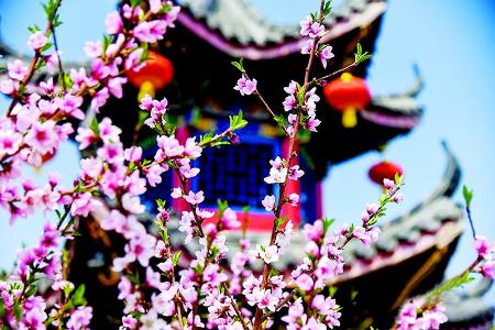           桃花沟景区        