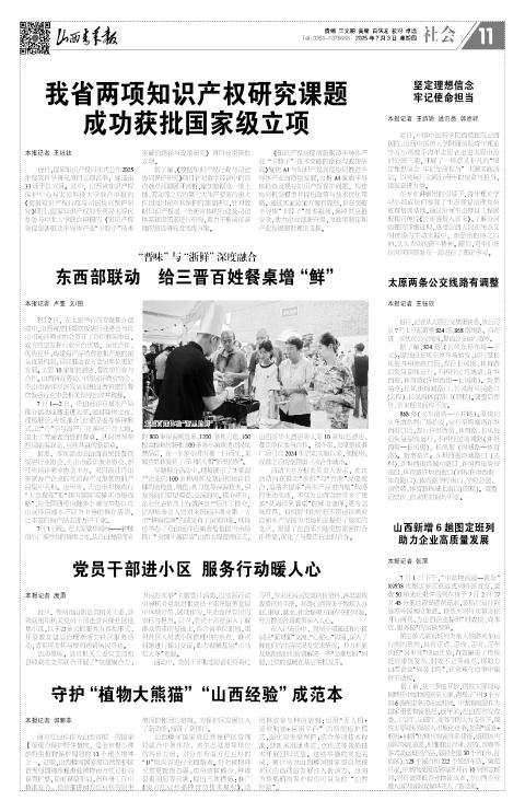 第11版