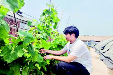           大寨之行震撼心灵 图片由山西农业大学园艺学院社会实践队提供        