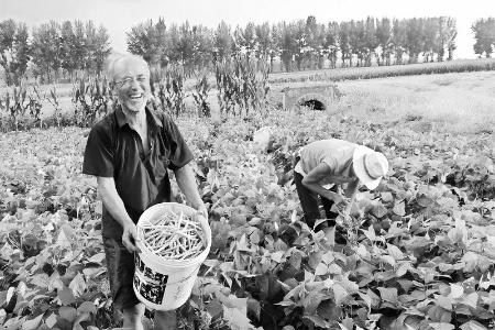           大同市农商银行系统在多领域发挥金融效能        