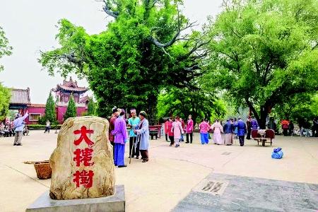           　图片由洪洞大槐树景区提供        