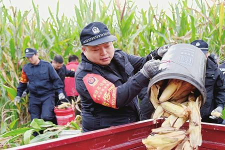 本组图片均由团襄汾县委提供