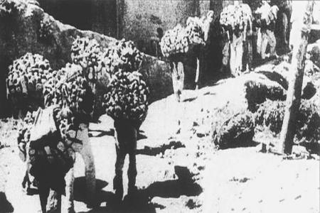 图为根据地妇女支援前线。