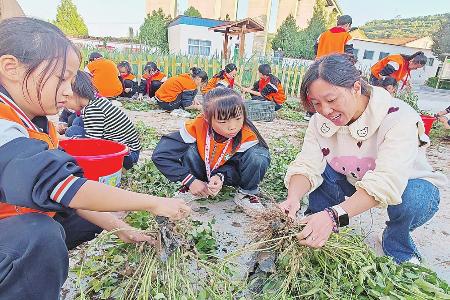 图片由阳城县芹池镇中心学校提供