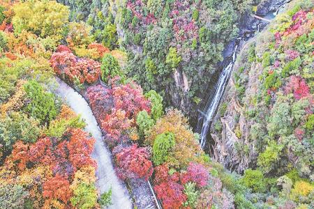 历山 本版图片均为资料图片