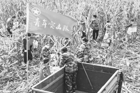 突击队队员用实际行动解决群众燃眉之急 图片由受访集体提供