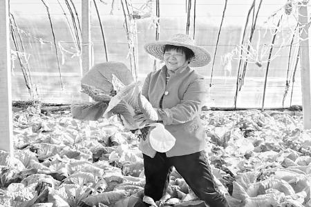 本组图片由山西农商银行提供