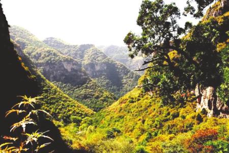 太行山风光 本版图片除署名外均为资料图片