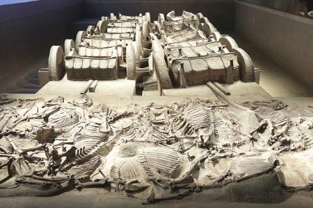 太原市博物馆太原市博物馆赵卿墓车马坑赵卿墓车马坑