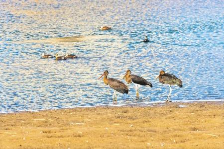 汾河静乐段 本版图片均为资料图片