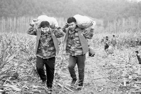 突击队队员们让理想之火在乡村振兴的沃土上燎原绽放 图片由通讯员郭鑫健摄