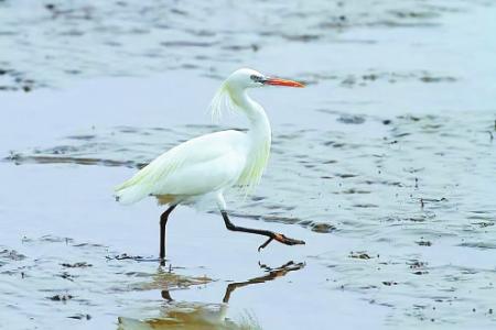 本组图片均为资料图片