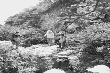 太原全力维护生物多样性安全 图片由太原市规划和自然资源局提供