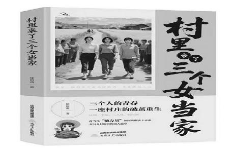 出版社：北岳文艺出版社作者：徐向南书名：《村里来了三个女当家》