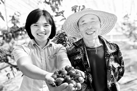 黎都农商银行交出亮眼成绩单 图片由黎都农商银行提供