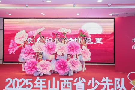 图片由山西省少工委提供