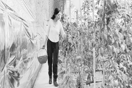 图片由太原市晋源区融媒体中心提供