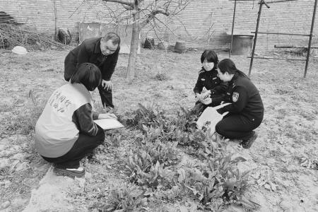 民警深入各户庭院及田间地头开展实地排查与流动宣传