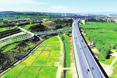 杨兴河人工湿地