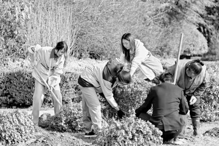 城市更新“青”用心